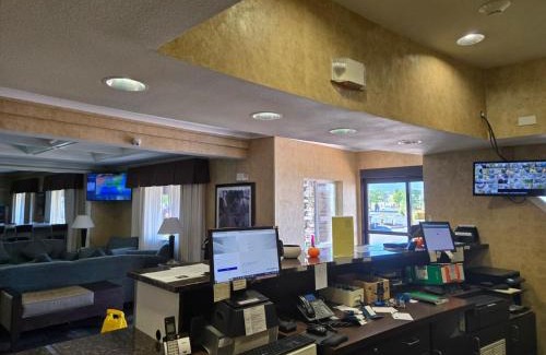 Albany Hotel | Lotus Inn