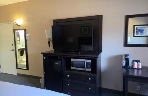 Albany Hotel | Lotus Inn