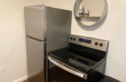 Ludington Apartment | Ludington Ave Suite 3-Blocks from downtown!