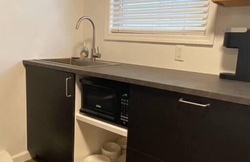 Ludington Apartment | Ludington Ave Suite 3-Blocks from downtown!