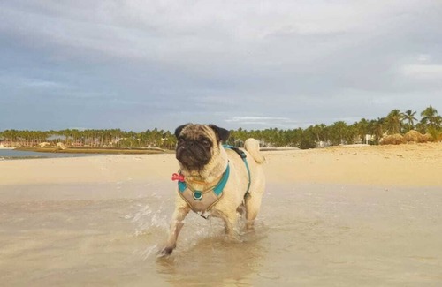El Soco Villa | Lujosa villa a tan solo 5 minutos de playa privada.