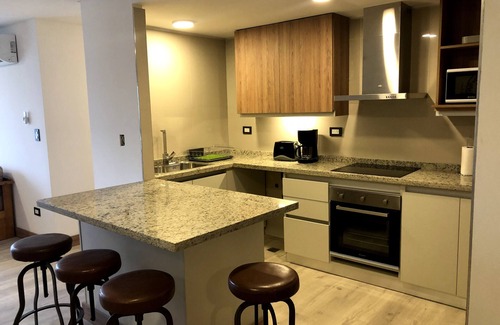 Mendoza City Center Apartment | Lujoso departamento con vistas a la montaña