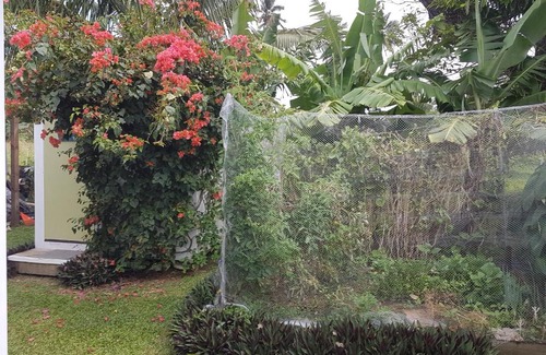 Matavera House | Lulu and Shane's Island Retreat