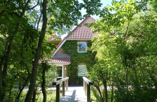 St. Peter-Ording Apartment | Luna31 (Room category) - Luna IV