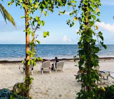 Mahahual Cabin | Lunazul Eco-Cabaña Frente al Mar