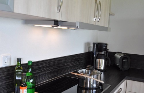 Friedrich-Wilhelm-Luebke-Koog House | Luxury holiday home with whirlpool and sauna, on the North Sea, Pets Allowed