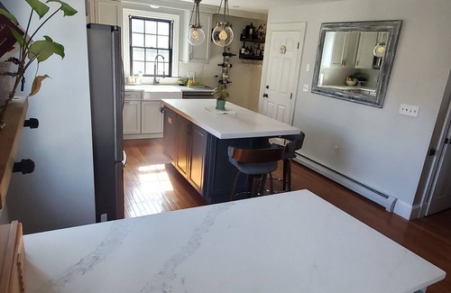 Ward Two House | Luxurious 4 bed 2 bath in the city of Somerville/Cambridge|2min from GreenLine