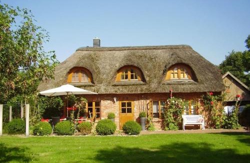 Hauert House | Luxurious holiday home Room No 7