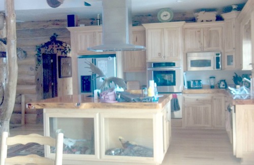 Adams Cabin | Luxurious & Spacious! A Great Place For Family, Friends, Reunions & Corporate!