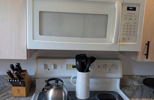 Paradise Lakes Condo | Luxury 1BR King Condo, Screened Lanai, Pond Views - Clothing Optional