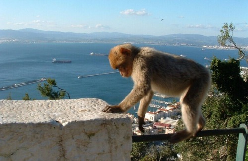 Urbanizacion Hacienda las Chapas Apartment | Luxury 2 Bed Apt Free UK & Spanish TV & Fibre Wi-FI . Air Con.