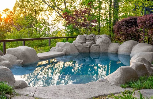 Greenville - Spartanburg House | Luxury 4BR Private Resort Greenville SC w/Pool-Hot Tub-Tennis/Pickleball & More