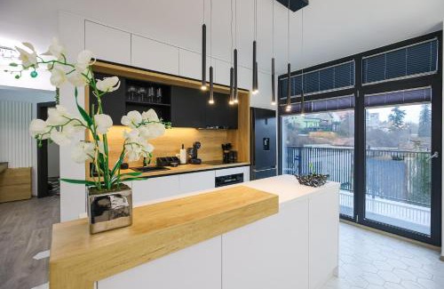 Tirgu Mures Apartment | Luxury Landing 8-centrally located accomodation with private parking Targu Mures