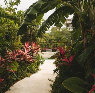 Tulum Apartment | Luxury Loft with Pools, Gym, Rooftop Terrace and Panoramic Views