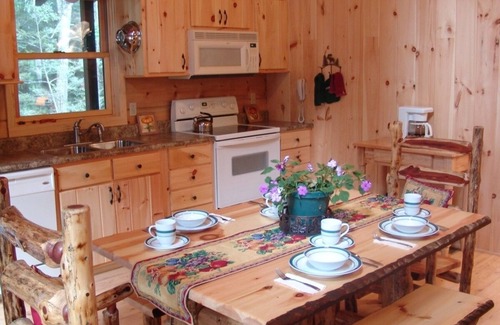 Robbinsville Cabin | Luxury Log Cabin, 4.5 Private Ac. Above Mtn Stream, Hot Tub & Wifi, Paved Dr.