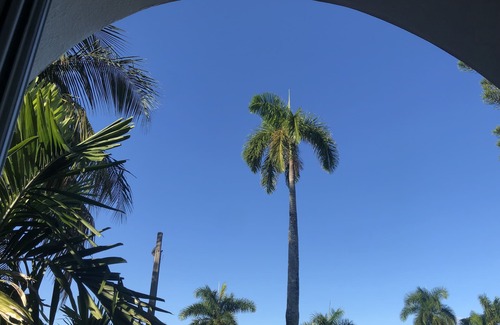 Downtown Hollywood Villa | LUXURY MODERN BEACH HOUSE 7/5 NEW LOCATION A MUST! LARGE POOL!