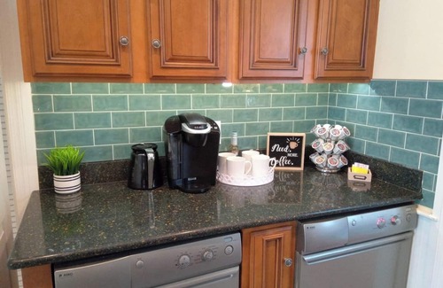 Cambridge House | Luxury on the river, steps to downtown &boat ramp!