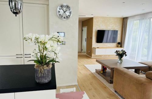 Herink Villa | Luxury Prague House with Car
