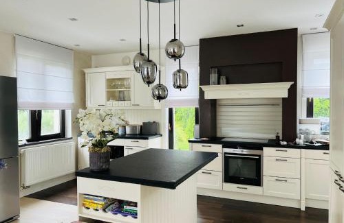 Herink Villa | Luxury Prague House with Car