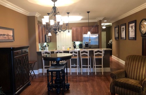 Auburn Condo | Luxury Rental with View of Football Stadium and 2 Blocks from Toomer's Corner