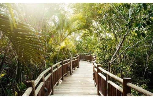 Downtown Cancun Resort | Luxury Resort by Vidanta- Riviera Maya