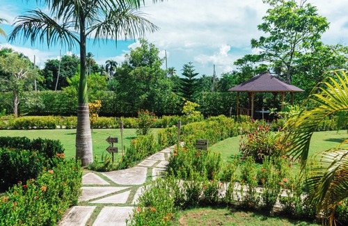 Sanchez Apartment | Luxury Room in Villa with Bar and Restaurant