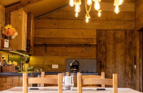 Broadwoodkelly House | Luxury Safari Lodge surrounded by deer! 'Roe'