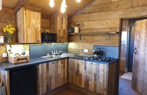 Broadwoodkelly House | Luxury Safari Lodge surrounded by deer! 'Roe'