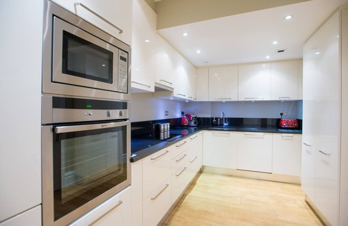 Mayfair Apartment | Luxury Spacious Three Bed Apartment in Heart of Mayfair With Terrace