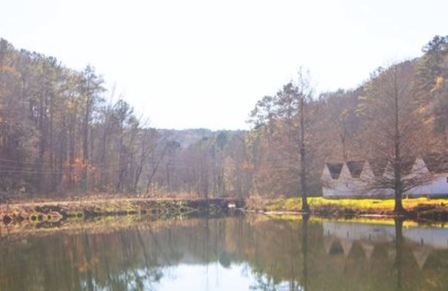 Albertville House | Luxury Tiny Home #6 at Sweet Springs