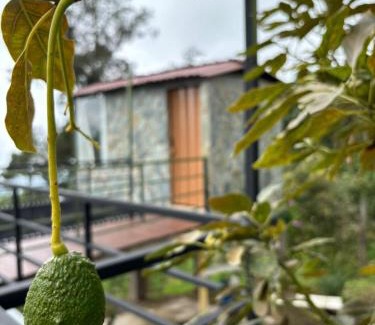 Anolaima Other | Luz de Luna Glamping