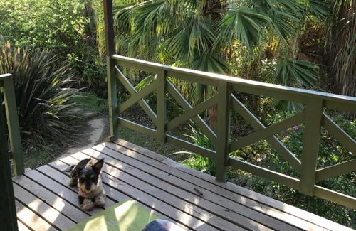 Partido de Tigre House | Mágica casita isleña