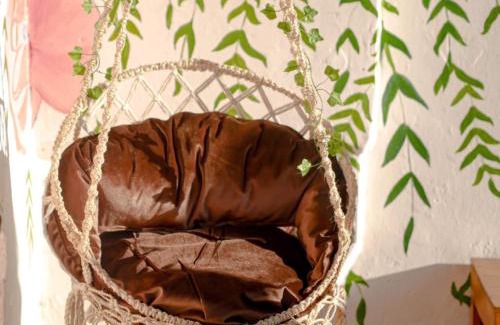 Andohalo House | M'Serenity Guest House