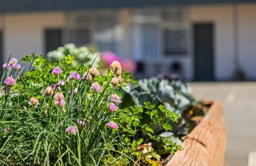 Maffra Hotel | Maffra Motor Inn
