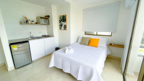 Monteria Apartment | Magico Apartaestudio con Piscina 1 Habitacion PR46B