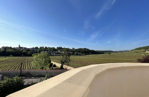 Rully House | MAGNIFICENT VIEW HOUSE PARADISIAC IN THE MIDDLE OF VINES OF BOURGOGNE