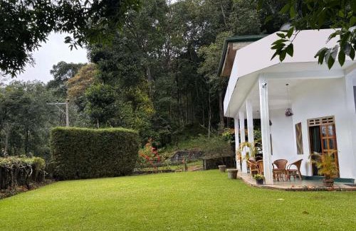 Kotmale House | Magnolia by Bhathiya and Suzy - A Forest Sanctuary