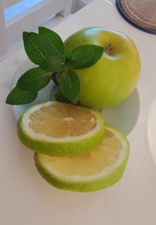 Tacuarembo Apartment | Magnolia