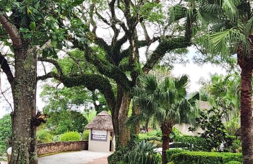 Tzaneen Cabin | Magoebaskloof Mountain Lodge
