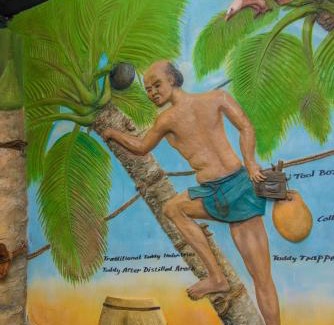 Beruwela Hotel | Mahi Beach Ayurveda