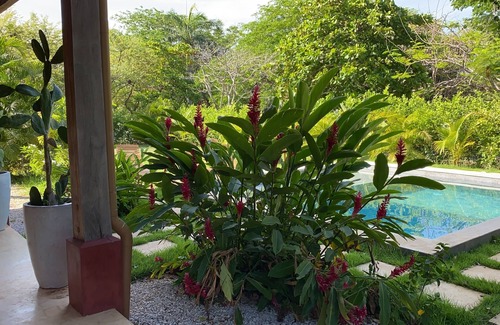 Playa Negra House | Maison de Plage Avec Piscine sur Spot de Surf