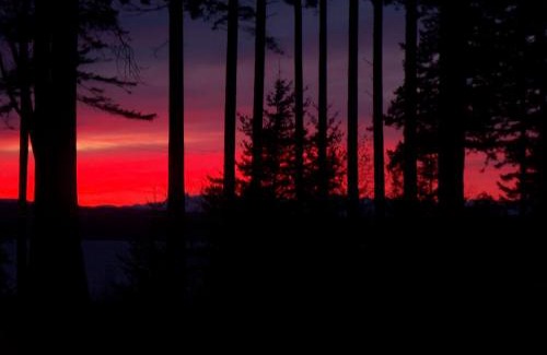Powell River House | Malaspina Strait Cottage