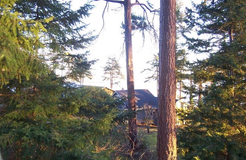 Powell River House | Malaspina Strait Cottage