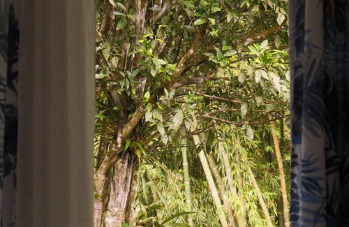 Chiriqui Cabin | Mambú - Lantana guesthouse