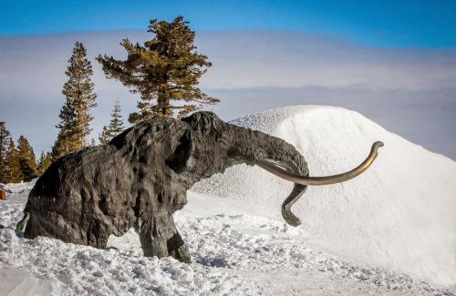 Mammoth Lakes Apartment | Mammoth View Villas 28