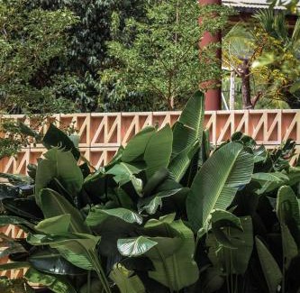 Colonia de Pescadores Hotel | Mana Cumbuco Hotel - Soft Opening