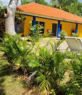 Samana Villa | Mangobich