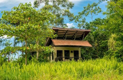 Chilamate Cabin | Maquenque Ecolodge