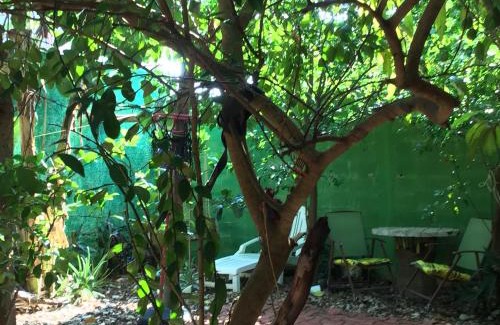 Merida Municipality Apartment | mar y luna apartment