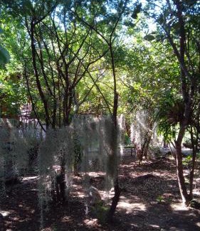 Kampersrus Villa | Marepe Flora Mountain View